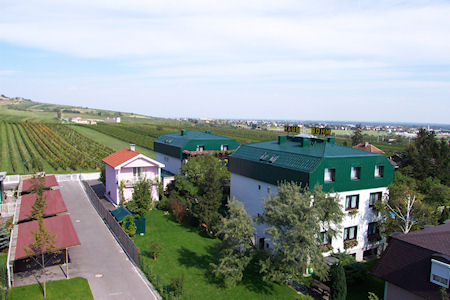 Pension Haus Bhm, szlls Gumpoldskirchen