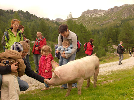 Unterkunft Gut Neusess, Mauterndorf