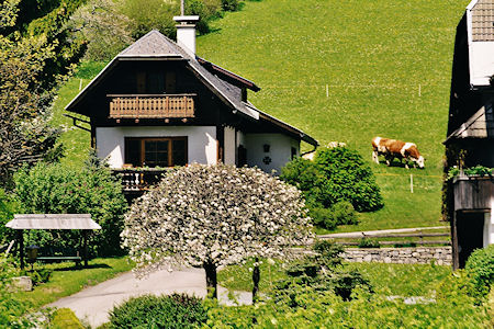 Ferienhof Obergasser und Bergblick, szlls Weiensee