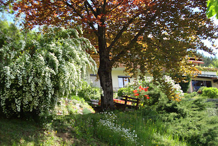 Haus Margrit, szlls Golling an der Salzach