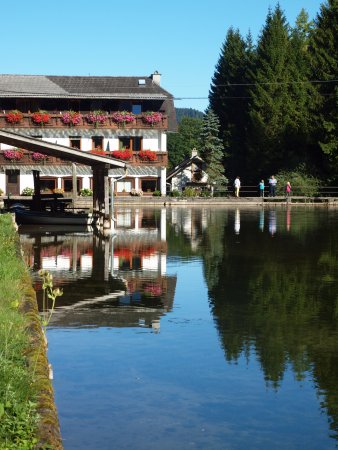 Wieselmhle Forellenhof, szlls Grnau im Almtal