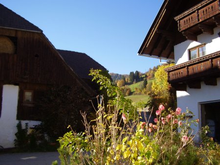 Surtmannhof, szlls Sirnitz