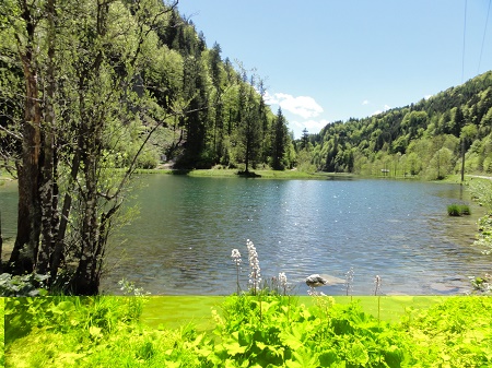 Gstehaus Katharina, szlls Hochfilzen