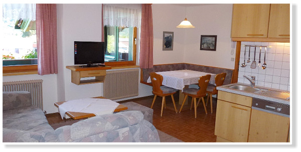 Haus Tritscher Michael, szlls Schladming