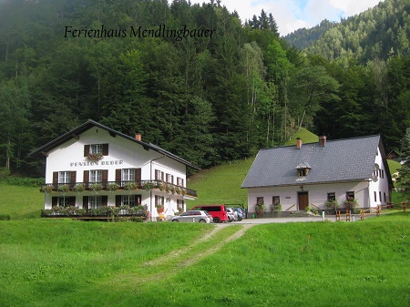 Ferienhaus Mendlingbauer