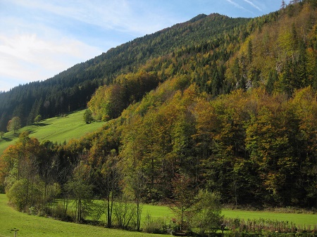 Ferienhaus Mendlingbauer, szlls Gstling an der Ybbs