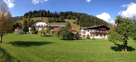 Scharfetthof