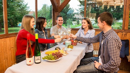 Unterkunft Winzerhof, Familie Bogner, Rohrendorf bei Krems