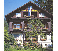 Gasthof-Pension-Cafe Edelweiss 