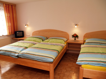 Unterkunft Pension Kammerlander, Maishofen