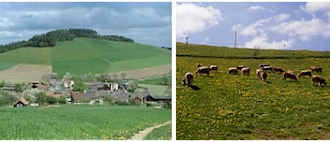 Unterkunft Holzgethan - Fam. Schrammel, Bad Schnau